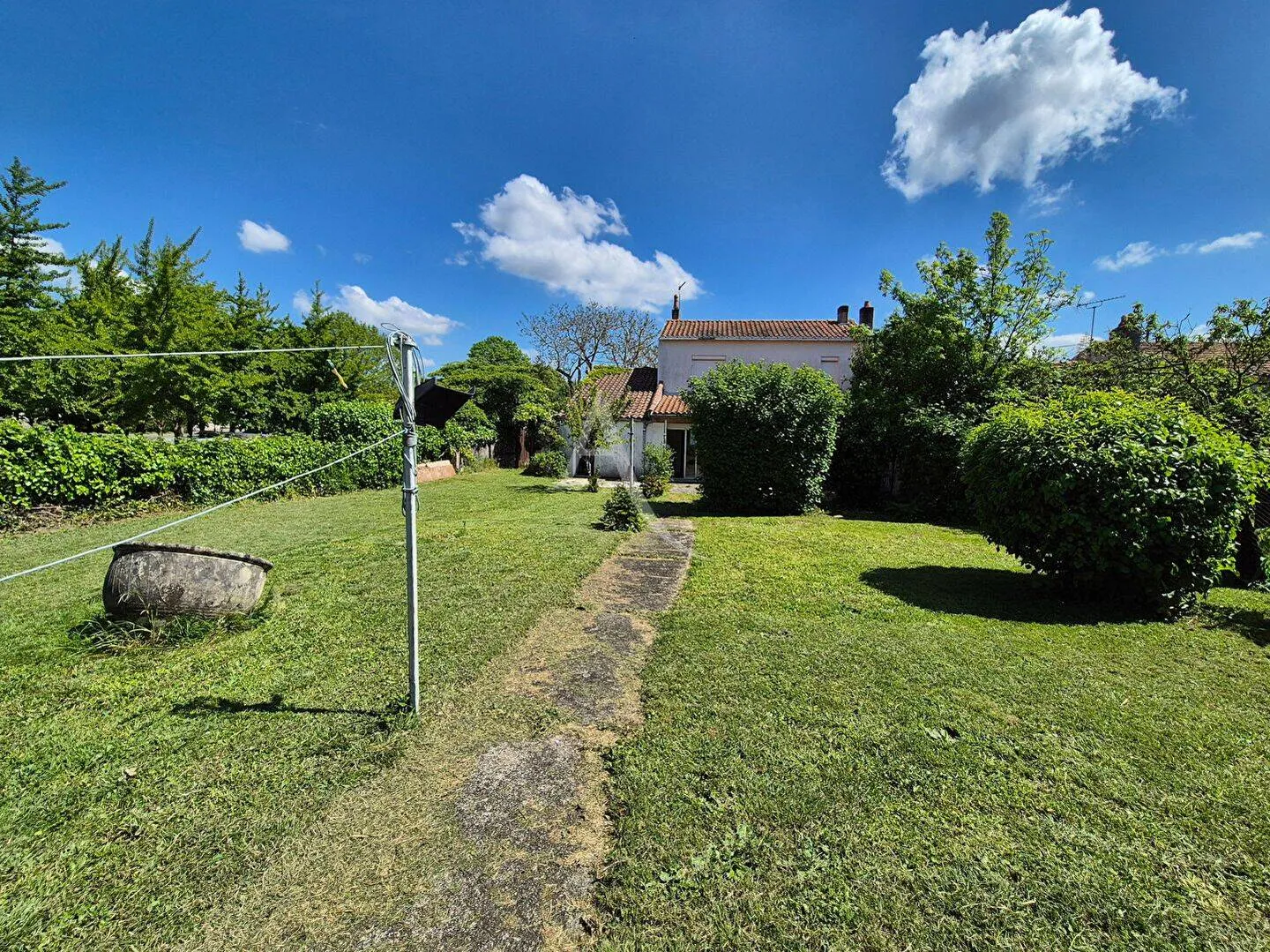Terrain