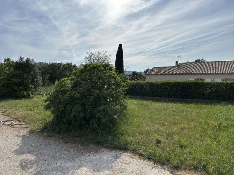 Terrain