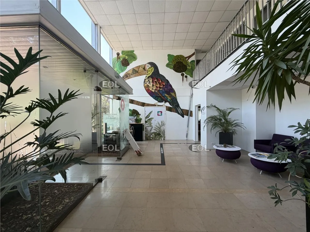Local d'activité