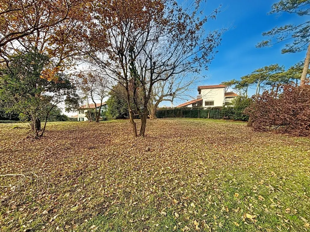Terrain