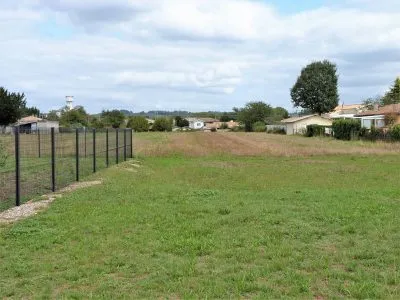 Terrain
