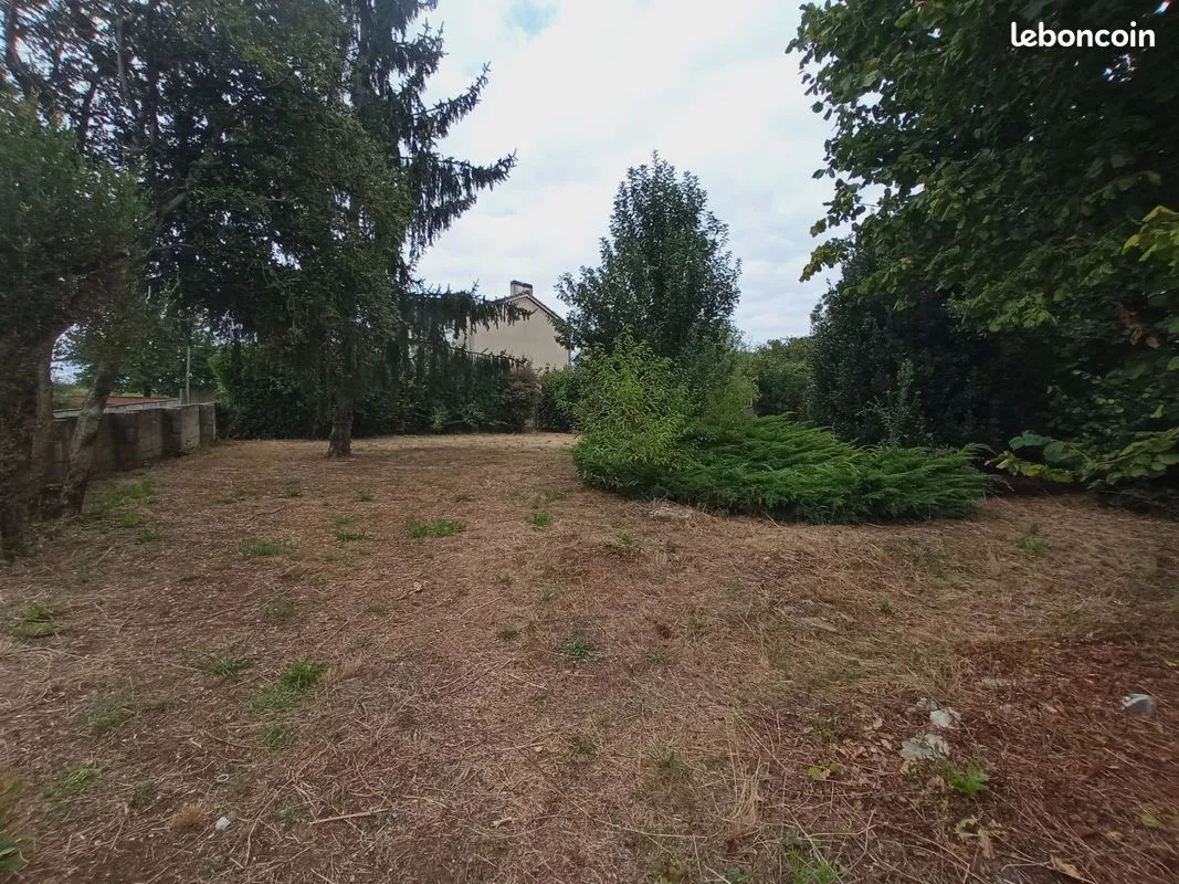 Terrain