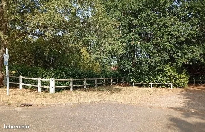 Terrain