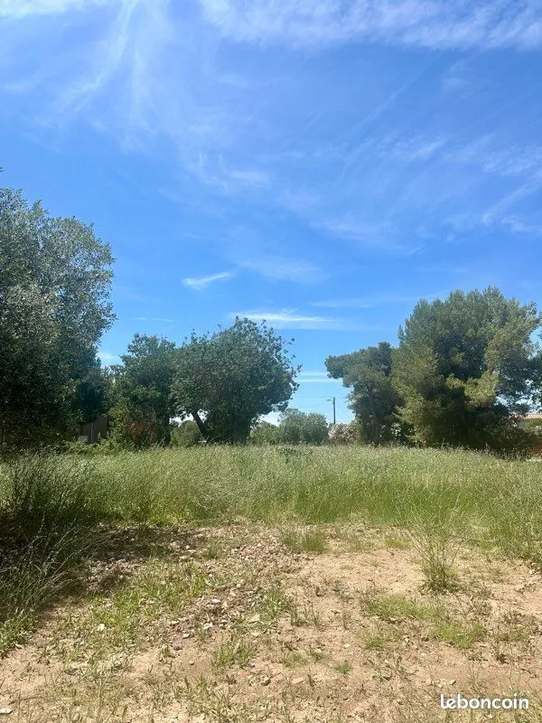 Terrain