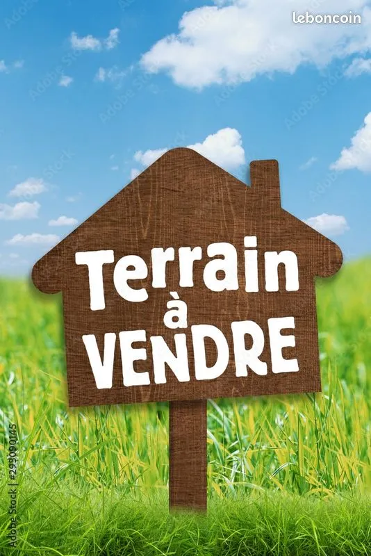 Terrain