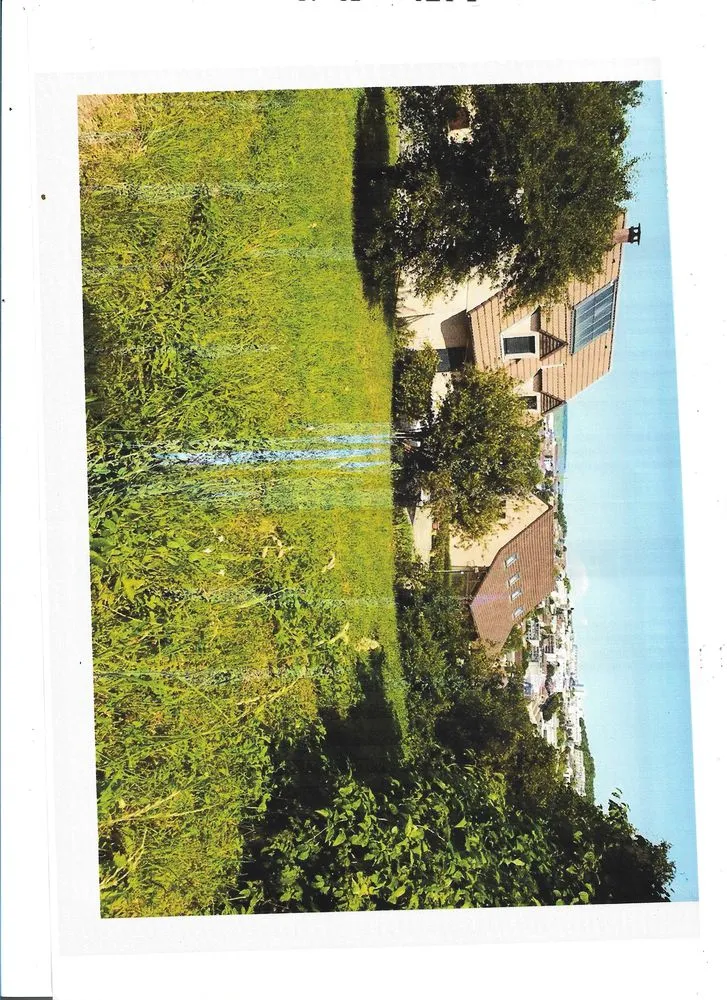 Terrain