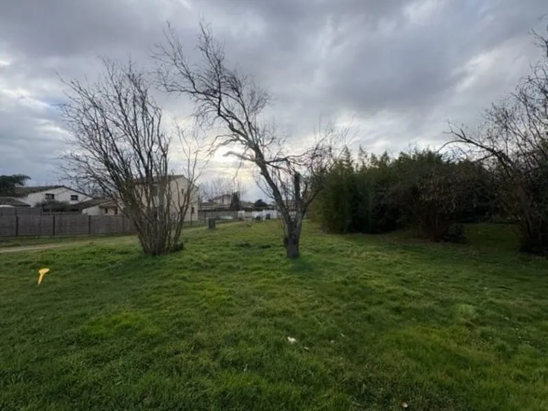 Terrain