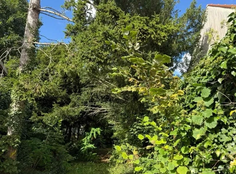 Terrain