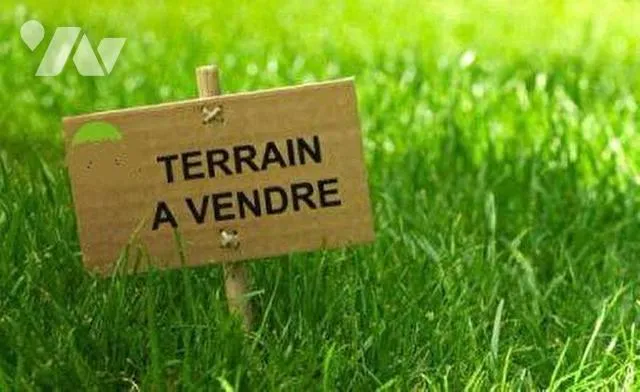 Terrain