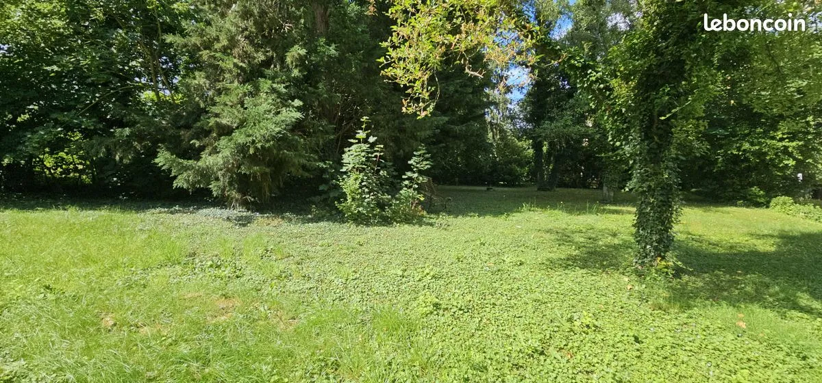 Terrain