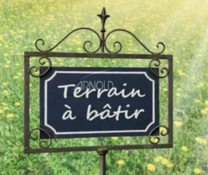 Terrain