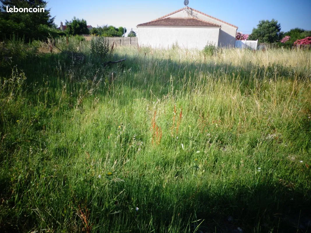 Terrain