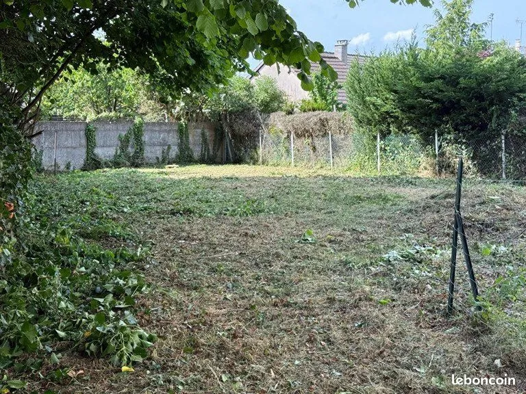 Terrain