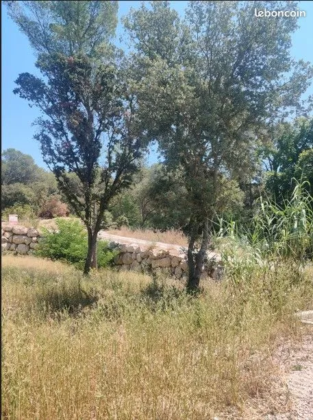 Terrain