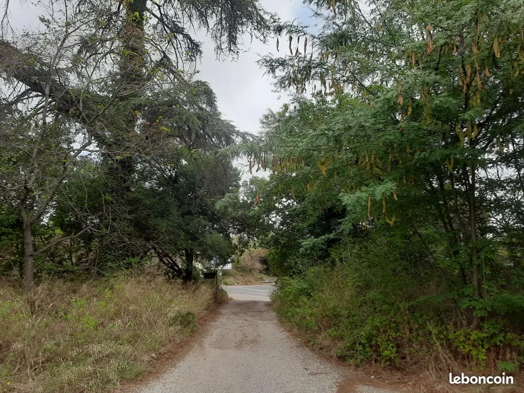 Terrain