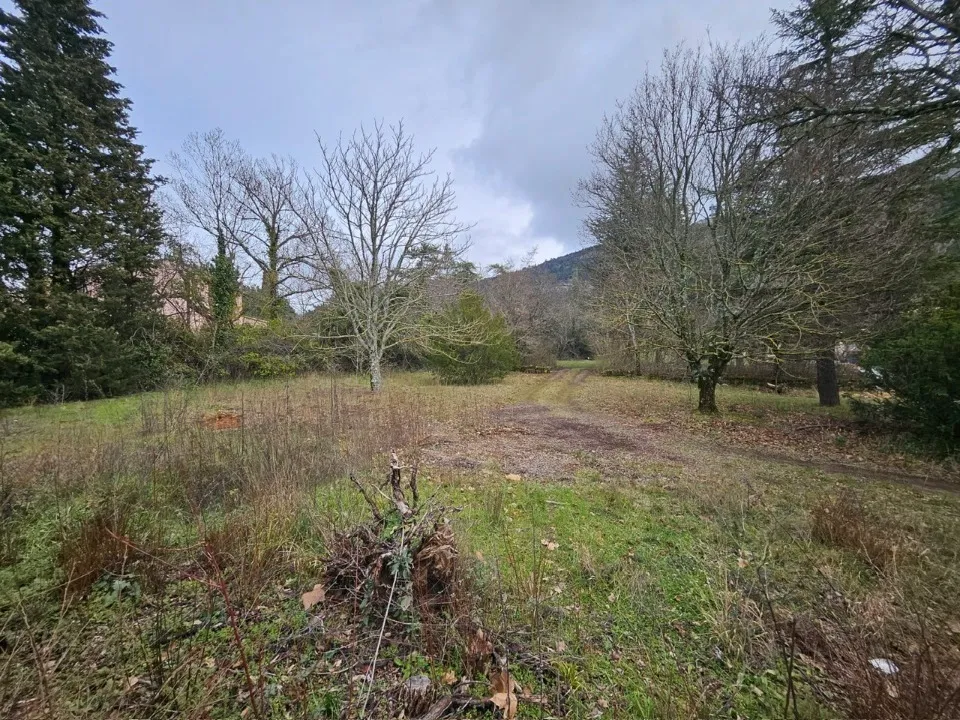 Terrain