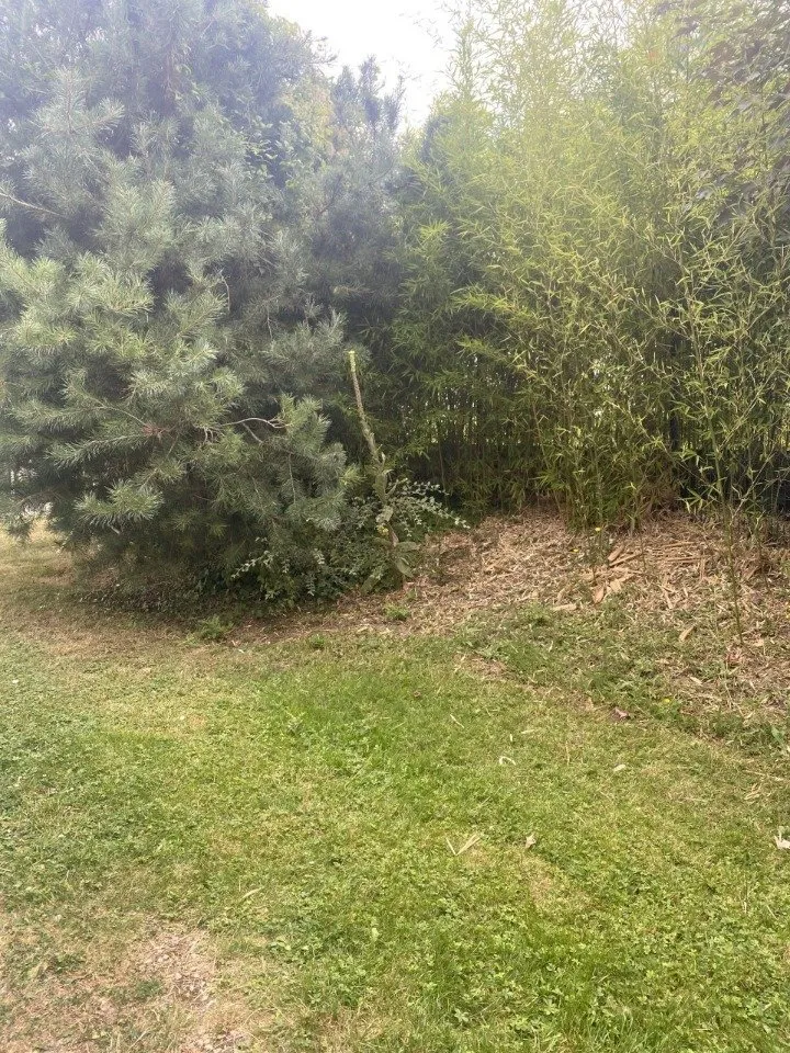 Terrain