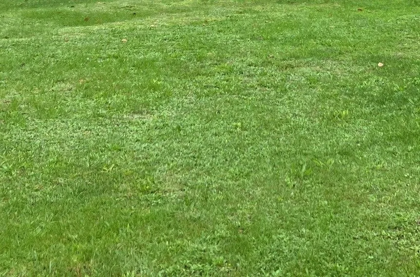 Terrain