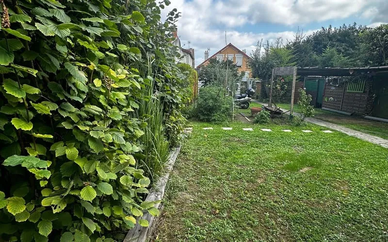 Terrain
