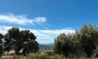 Terrain