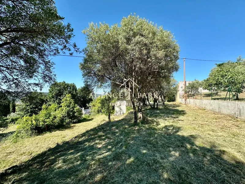 Terrain