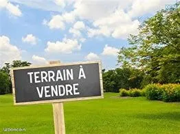 Terrain