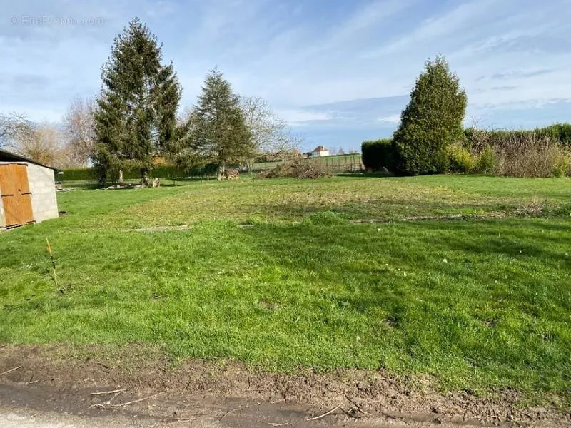 Terrain