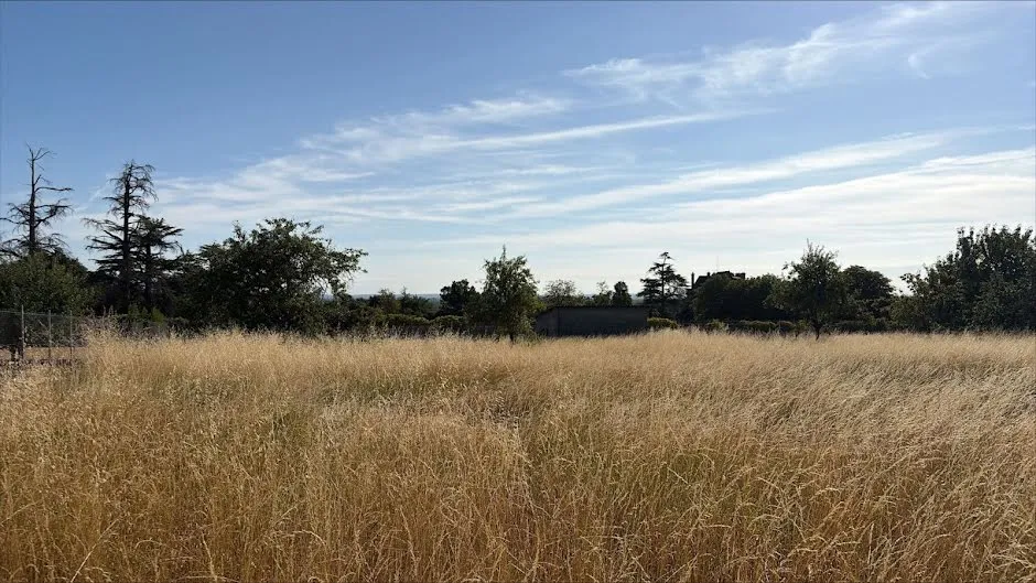 Terrain
