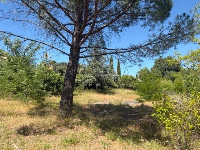 Terrain