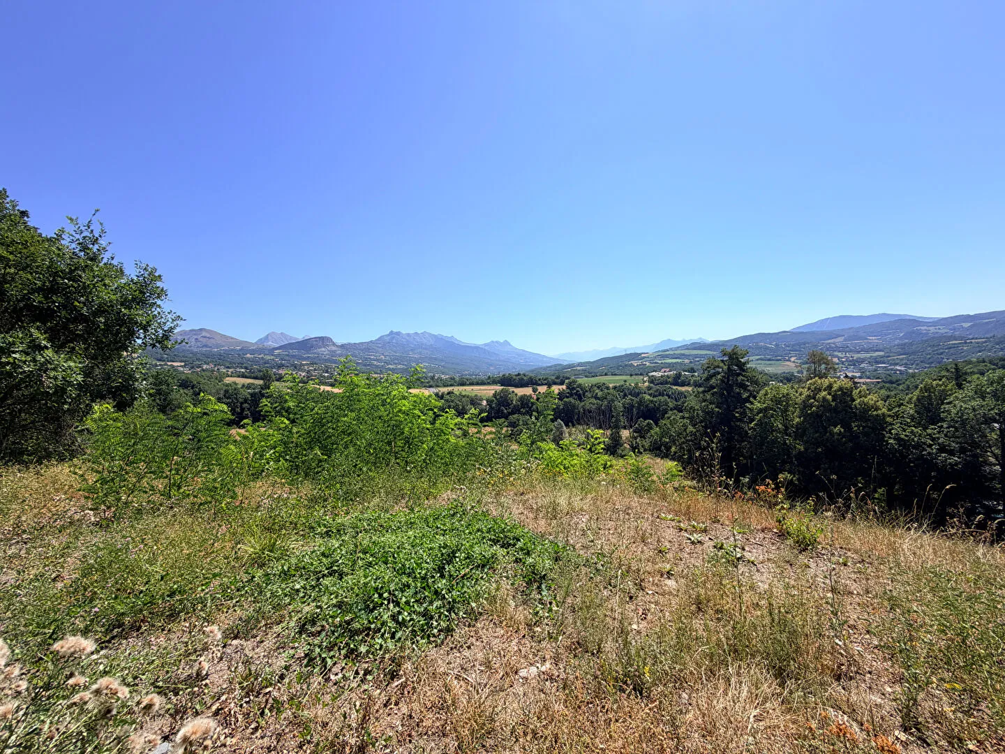 Terrain