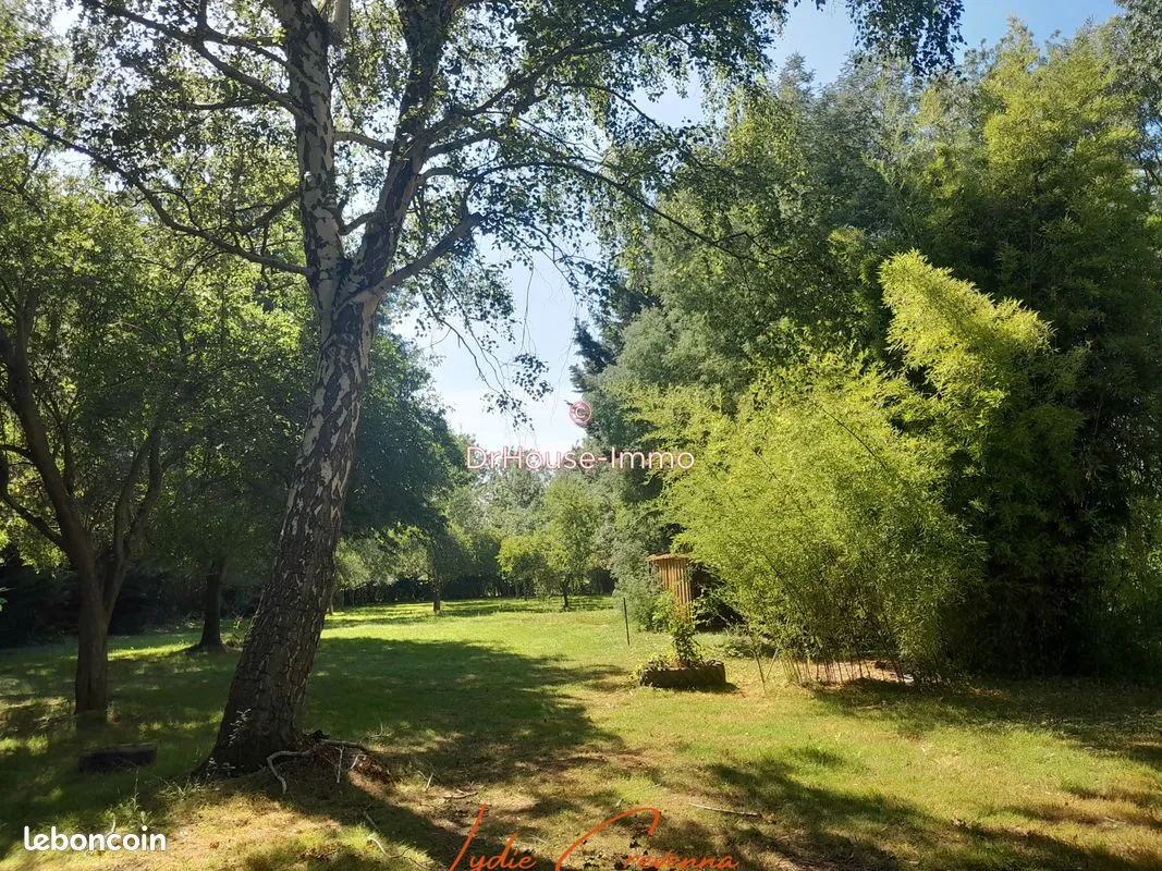 Terrain