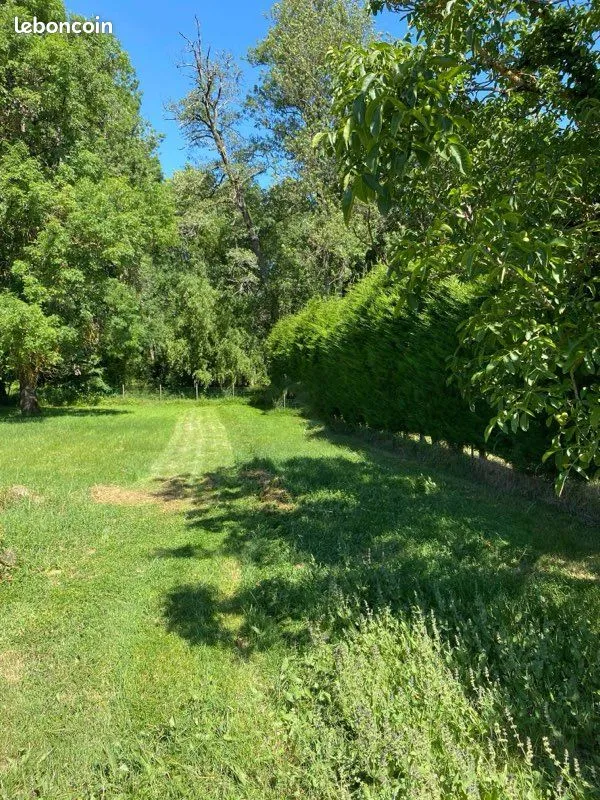 Terrain