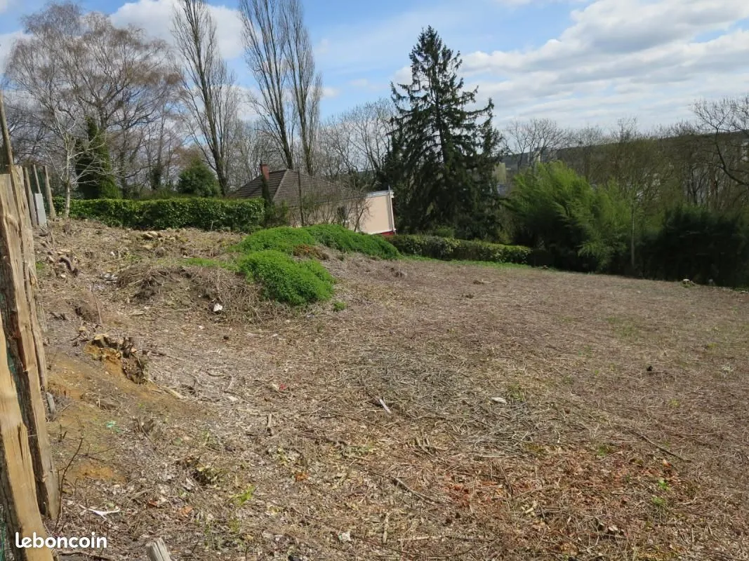 Terrain