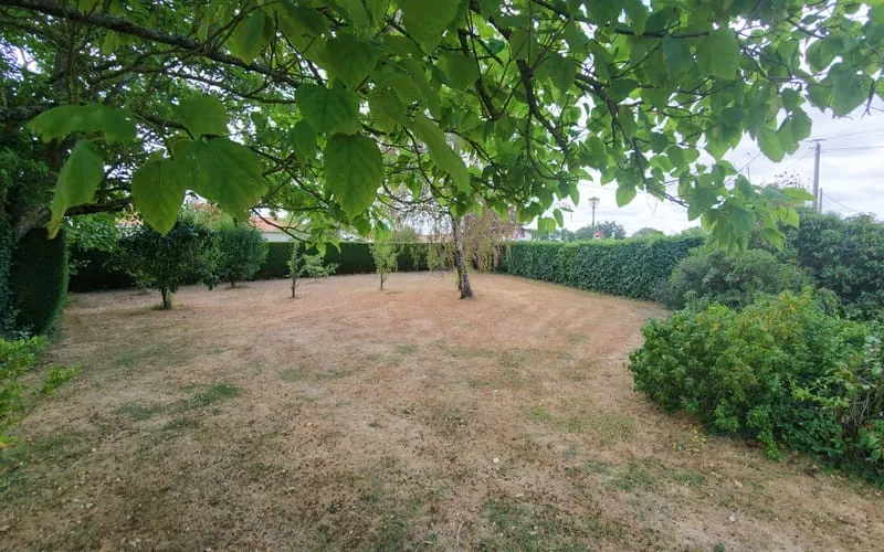 Terrain