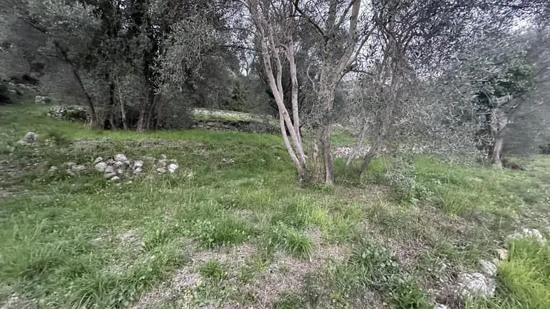 Terrain
