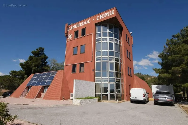 Local d'activité