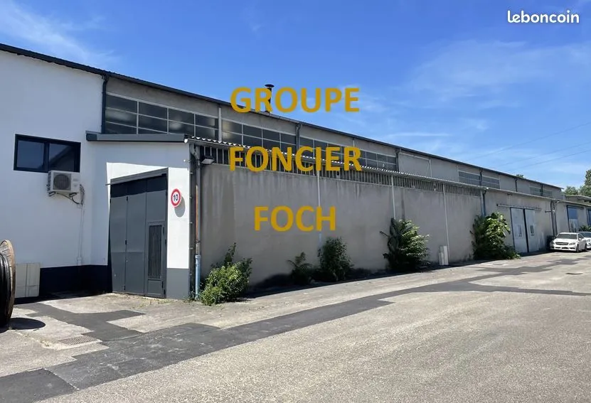 Local d'activité