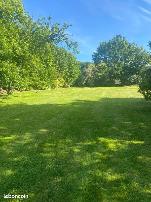 Terrain