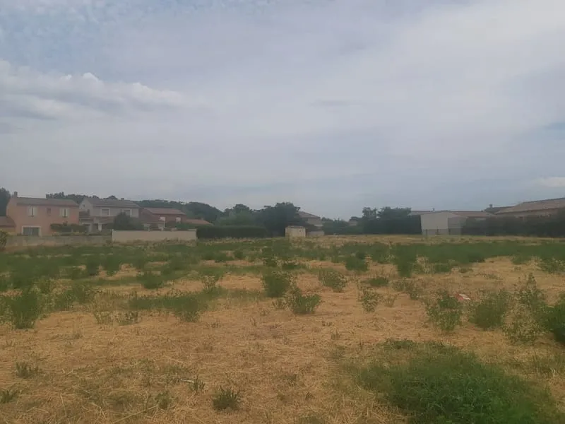 Terrain