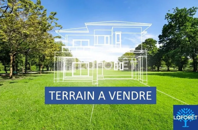 Terrain