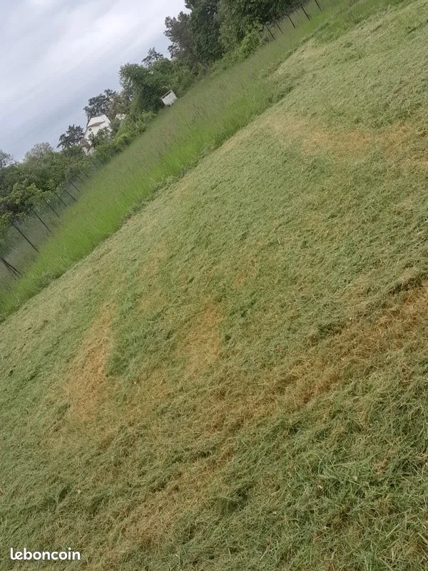 Terrain