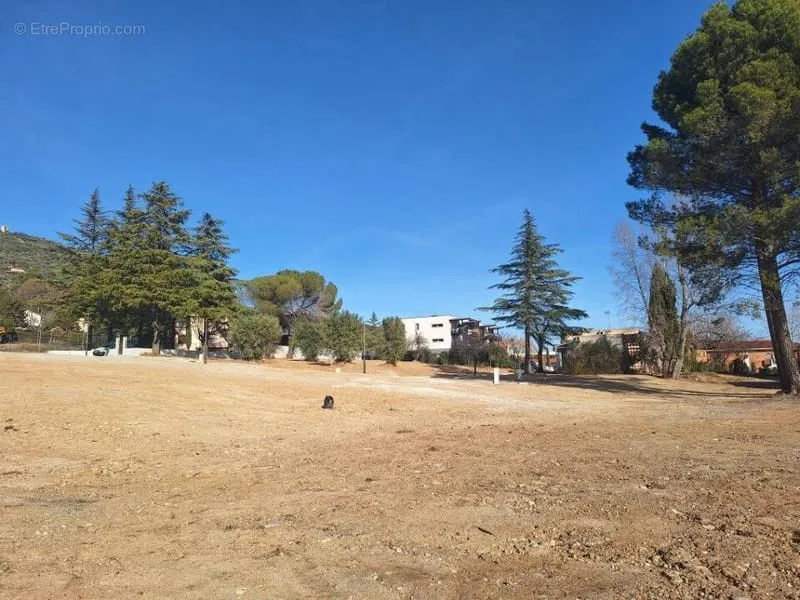 Terrain