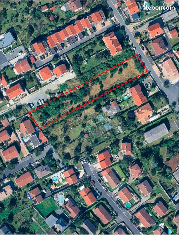 Terrain