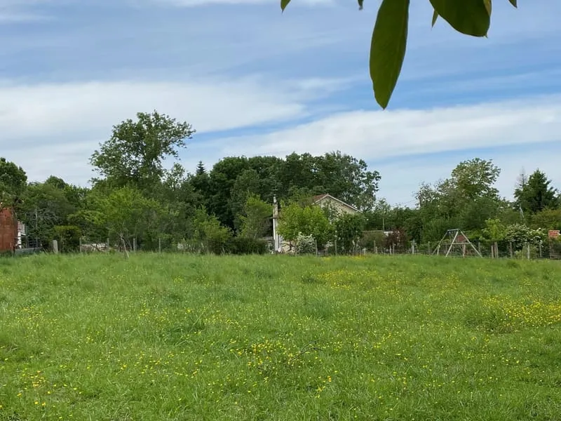 Terrain