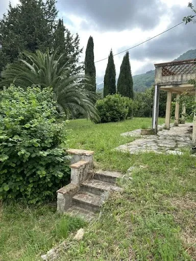 Terrain