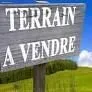Terrain