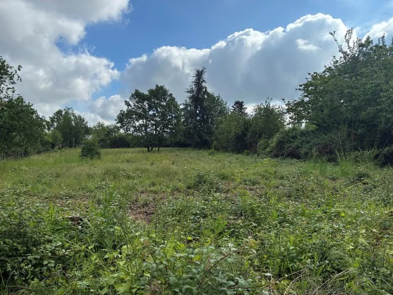Terrain