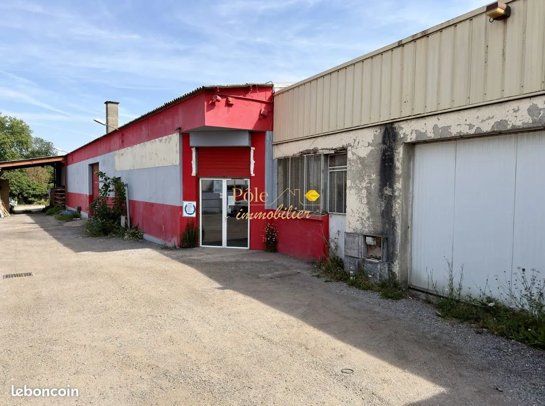 Local d'activité