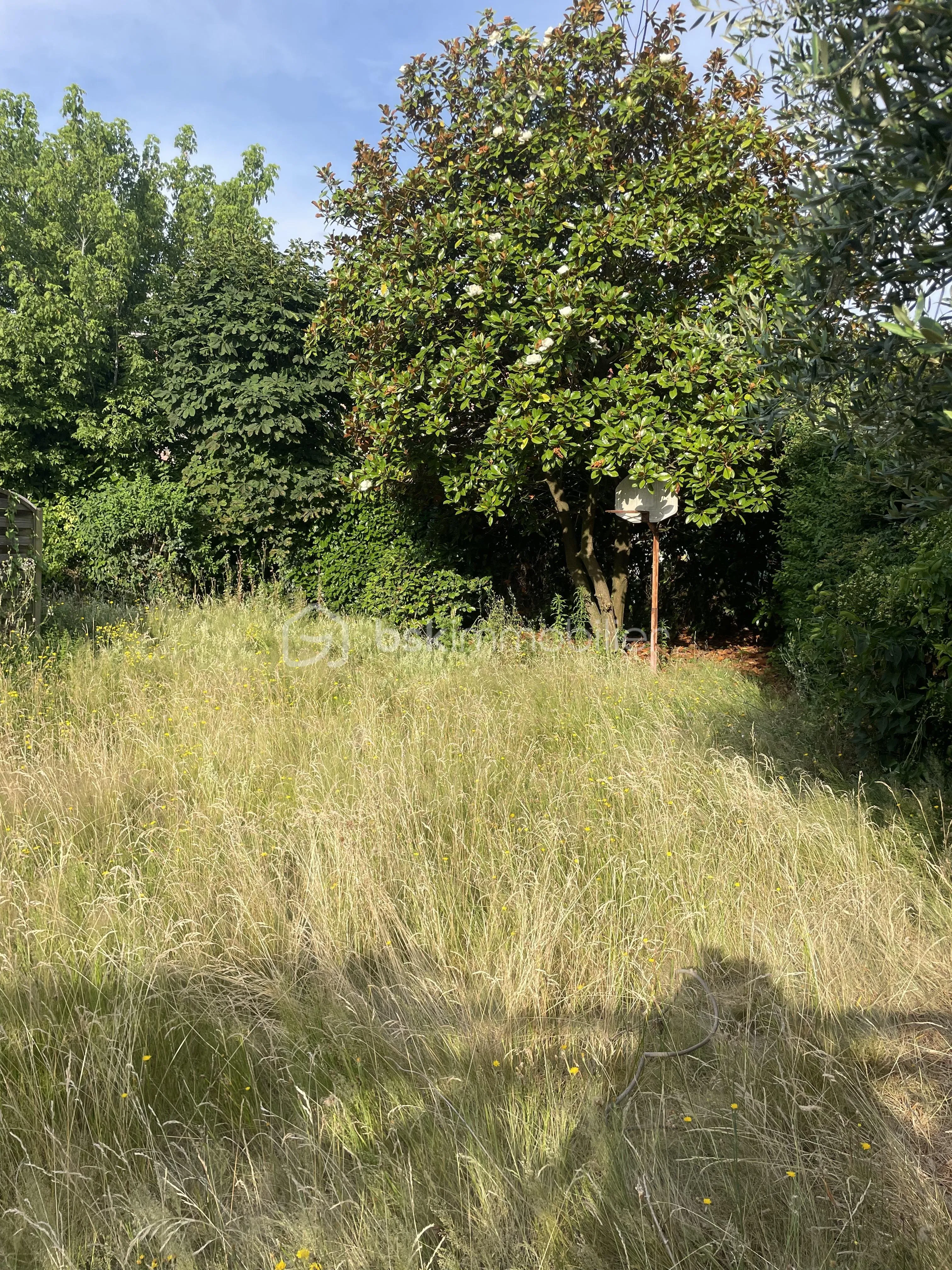Terrain