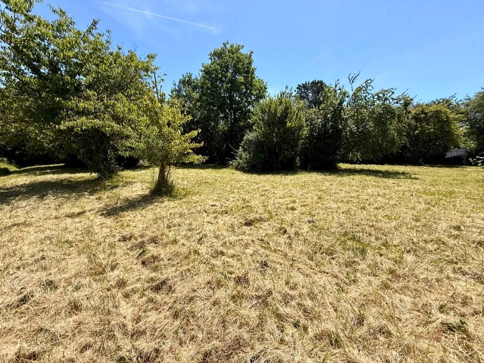 Terrain